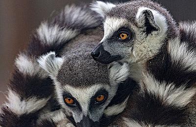 3DM速报：《战神》“北欧神话篇”两部完结 《OW2》新情报将公布