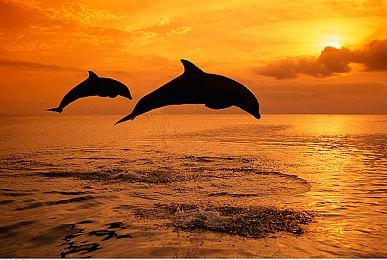 二战柴油朋克即时战略肉鸽游戏《铁锈风云》将于3.27发售，免费试玩版现已推出